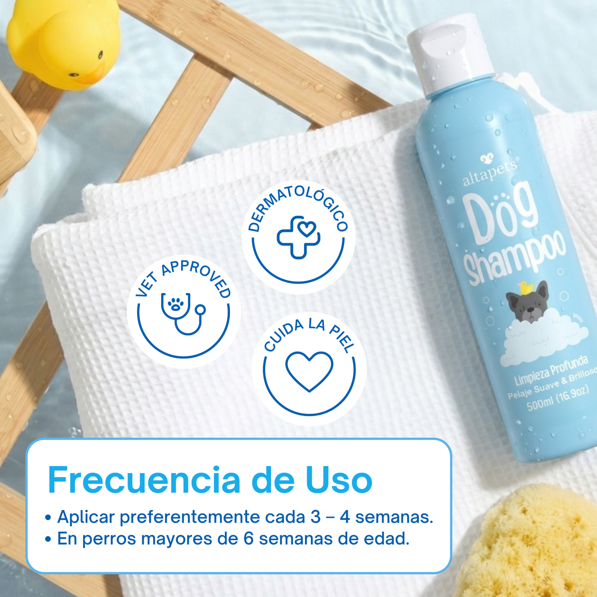 Shampoo