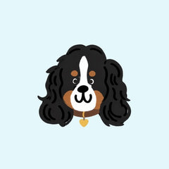 Nita