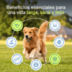 Colágeno & Vitaminas