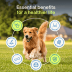 EN: essential benefits