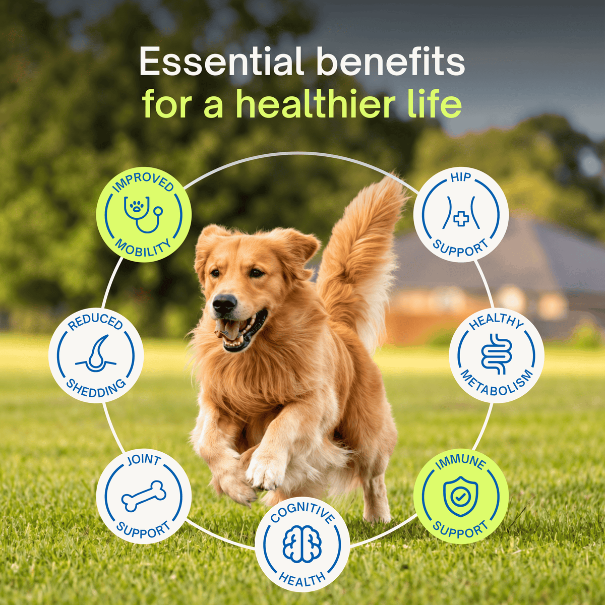EN: essential benefits