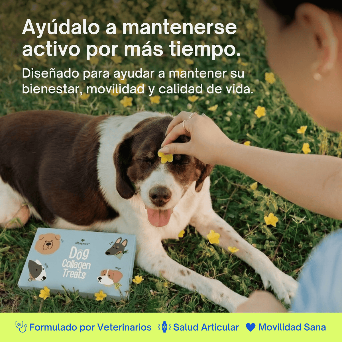 Colágeno & Vitaminas