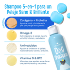 Shampoo