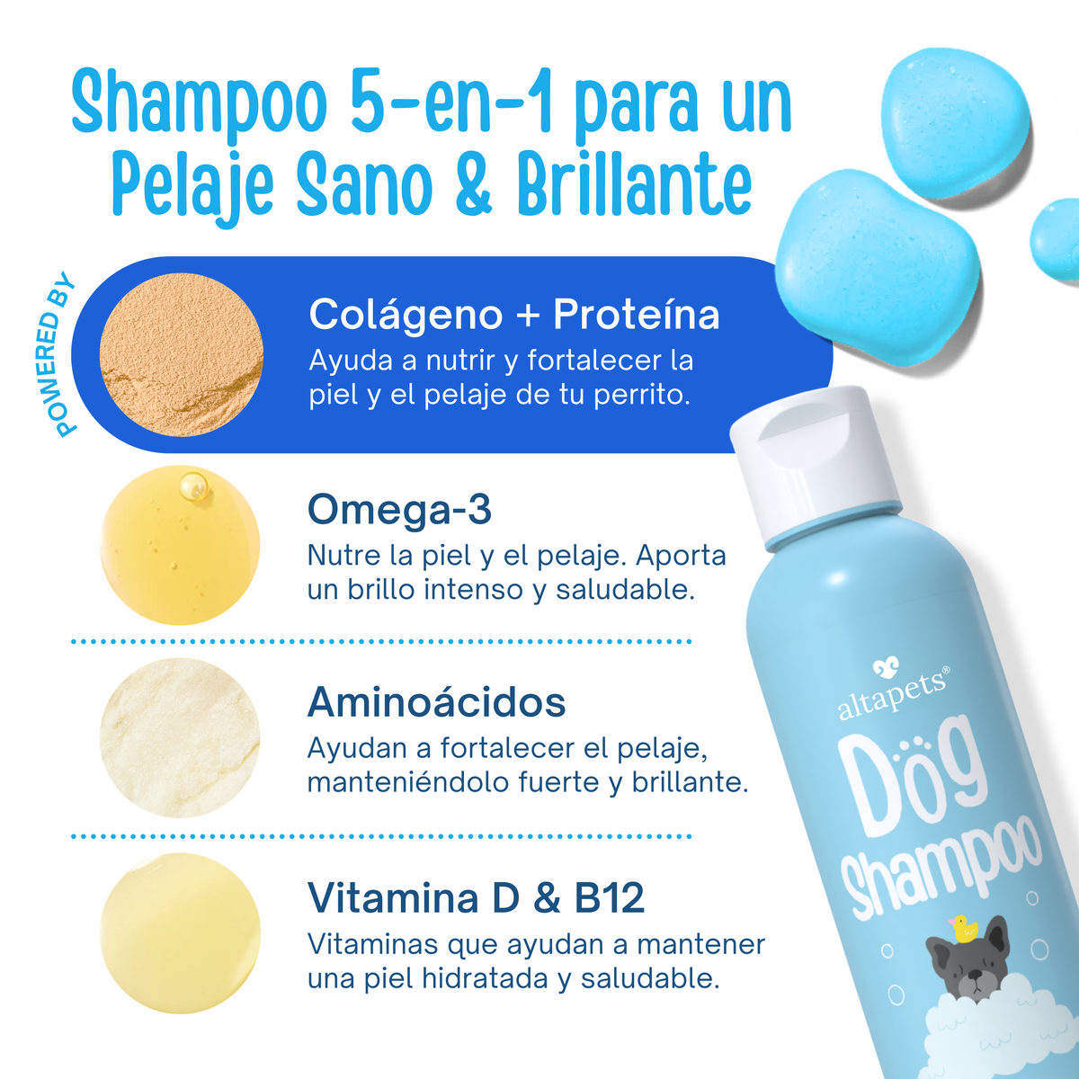 Shampoo