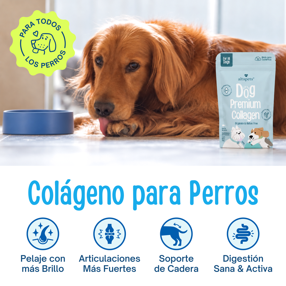 Colágeno & Vitaminas