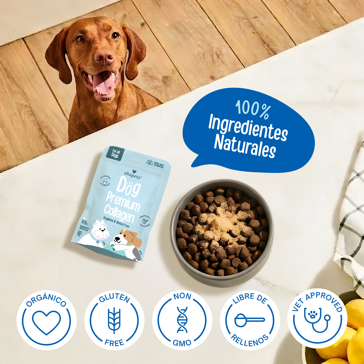 Colágeno & Vitaminas