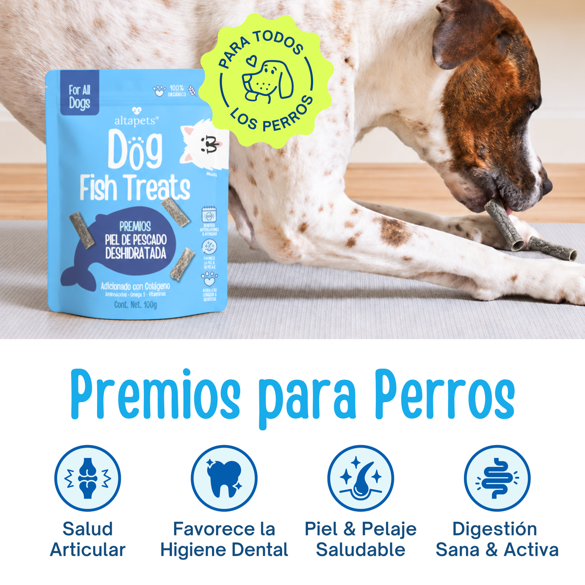 Dog Fish Treats