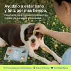 Dog Tuna Treats