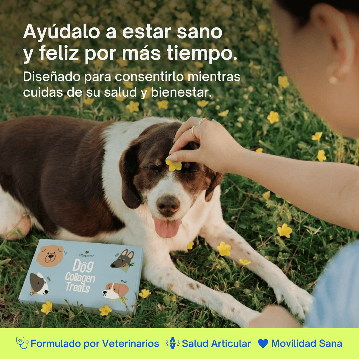 Dog Tuna Treats