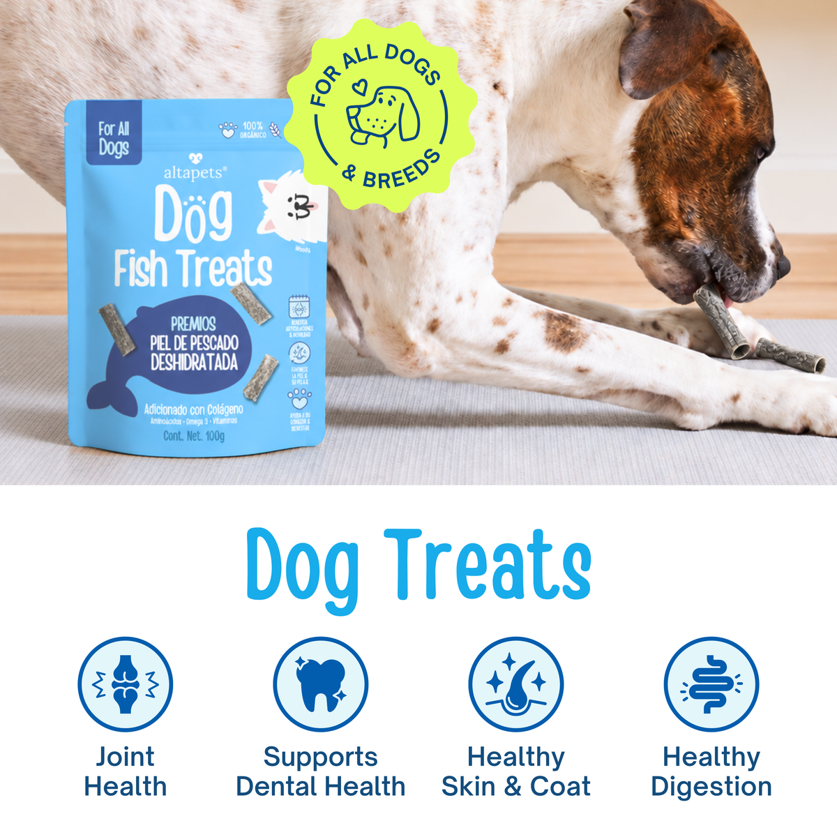 EN: dog treats