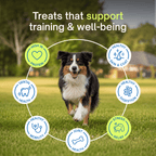 EN: treats that support