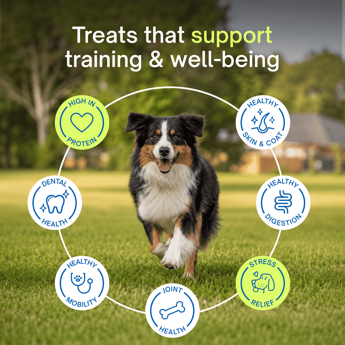 EN: treats that support