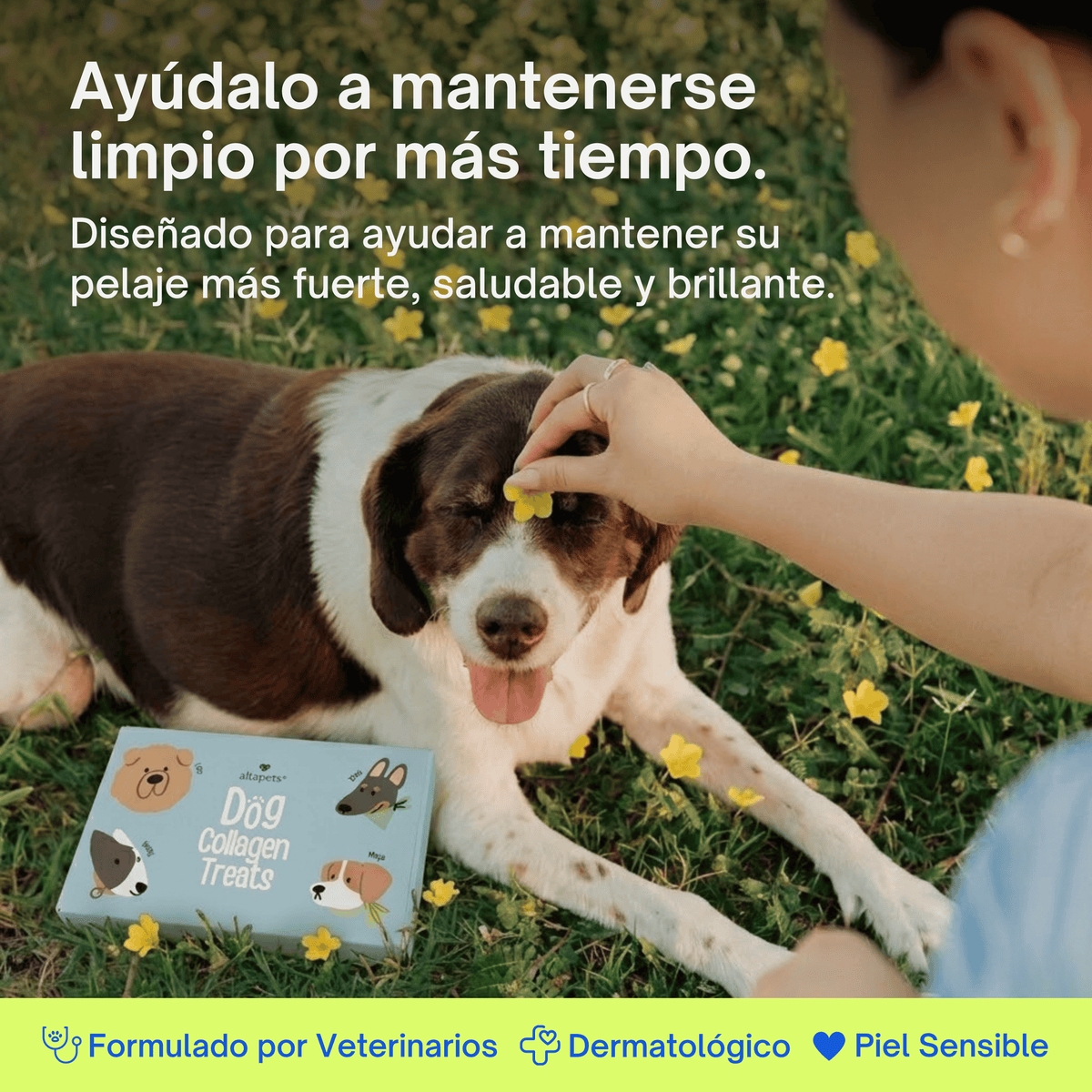 Shampoo