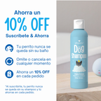 Shampoo