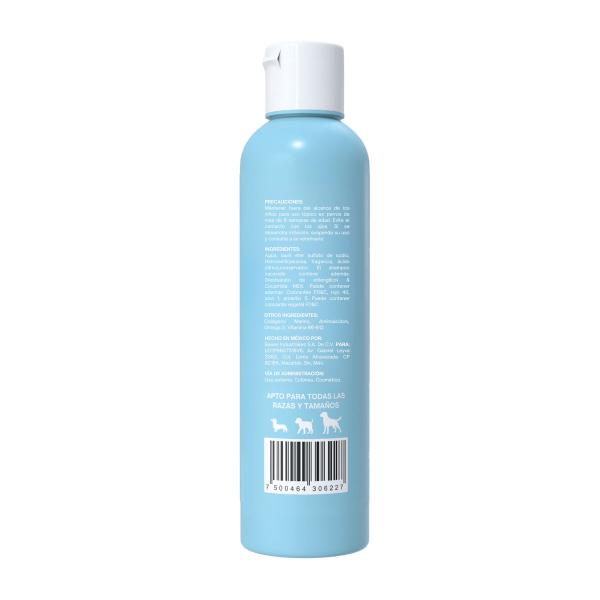 Shampoo