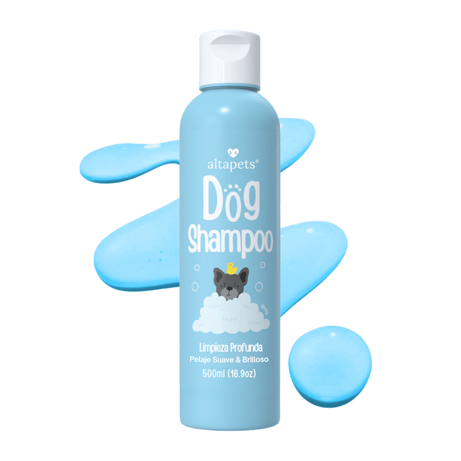 Shampoo