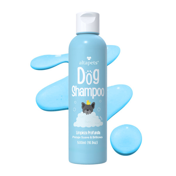 Shampoo