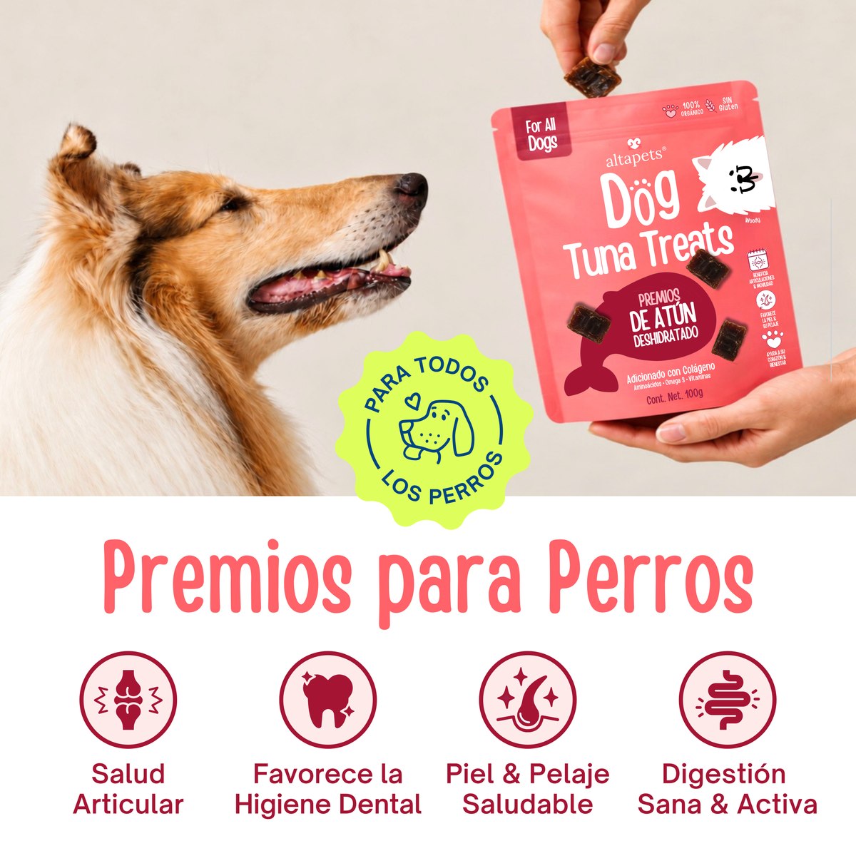 Dog Tuna Treats