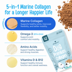 EN: 5-in-1 marine collagen
