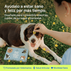 Dog Fish Treats